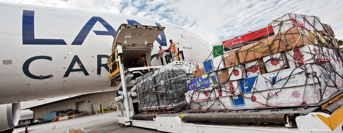 Погрузка Эквадорской розы в самолёт